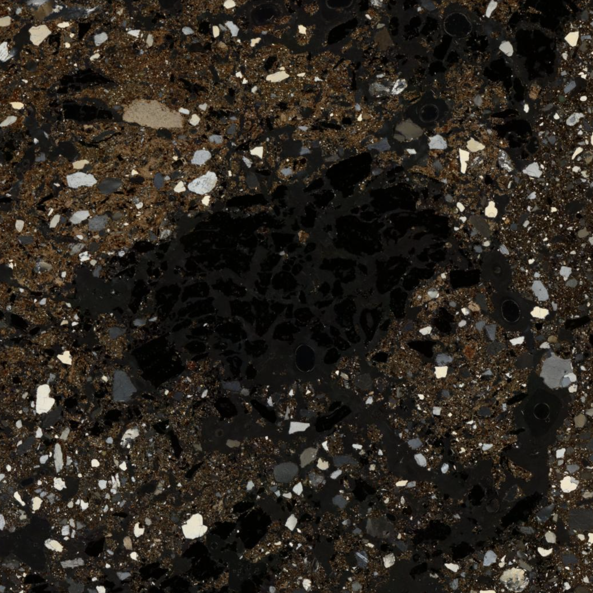High magnification image of a piece of charcoal from an archaeological thin section.