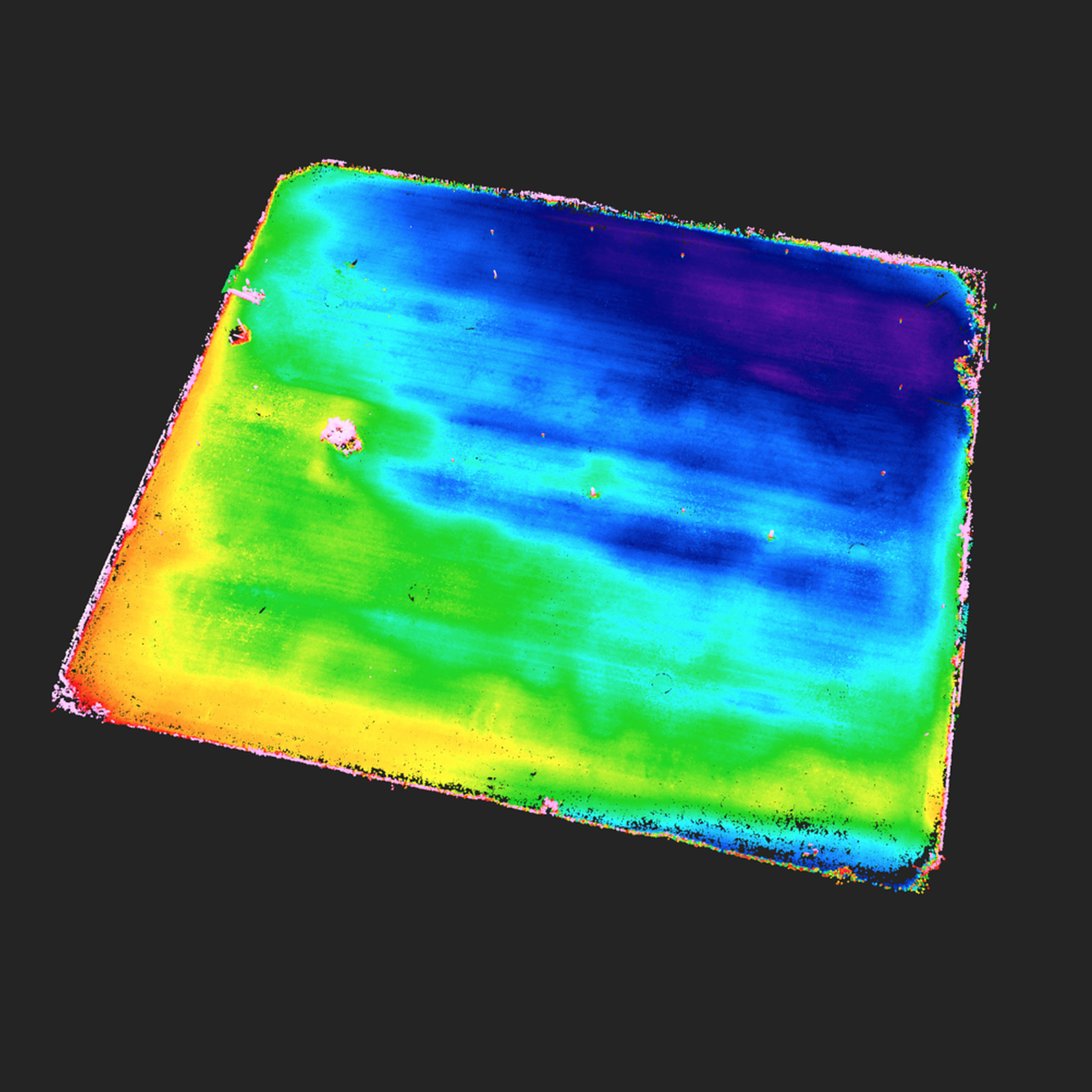 Point cloud of a 3D scan of a field.