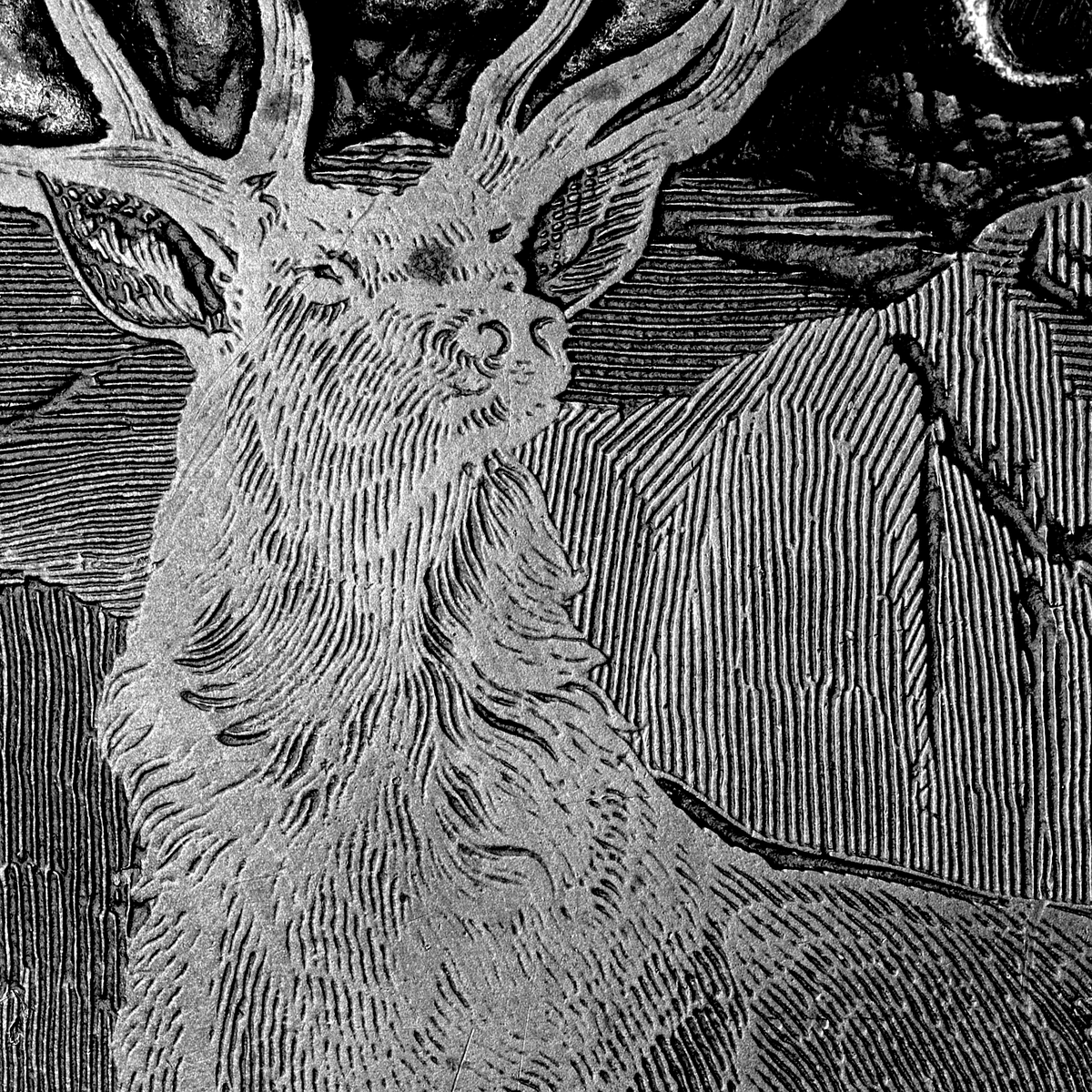 A close up of a metal printing block of a stag.